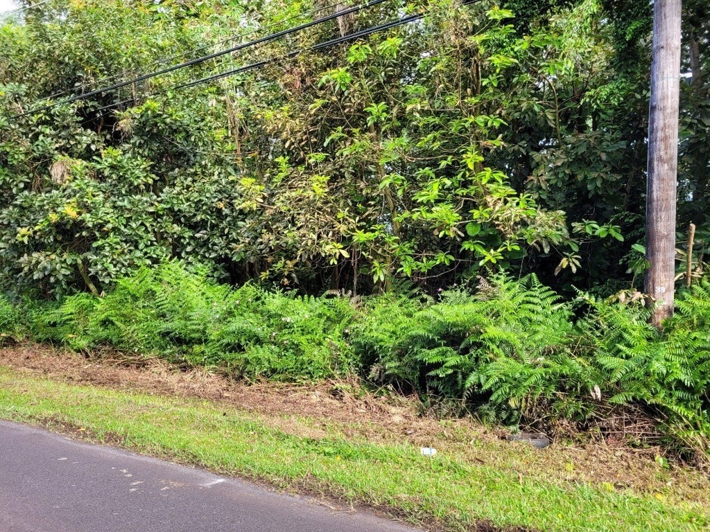 Leilani Estates Land For Sale