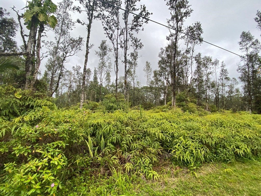 Molokai Rd in NANAWALE ESTATES SUBDIVISION MLS® 669160 For Sale