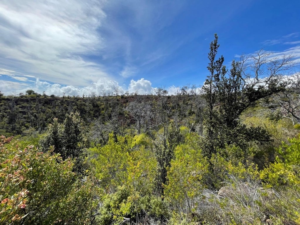 928411 King Kalakaua Ln in HOVE MLS® 669806 For Sale 15,000 in Kau