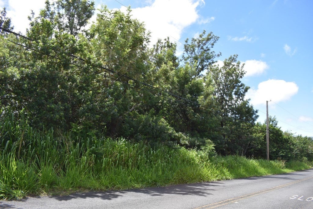 King Kamehameha Blvd in HOVE MLS® 670178 For Sale 29,999 in Kau, Hawaii