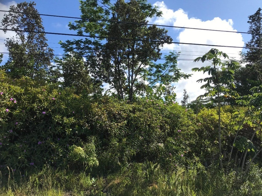 6th Ave in HAWAIIAN PARADISE PARK MLS® 670242 For Sale 85,000 in Puna, Hawaii