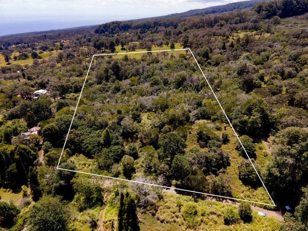 Hamakua Real Estate Big Island Hawaii