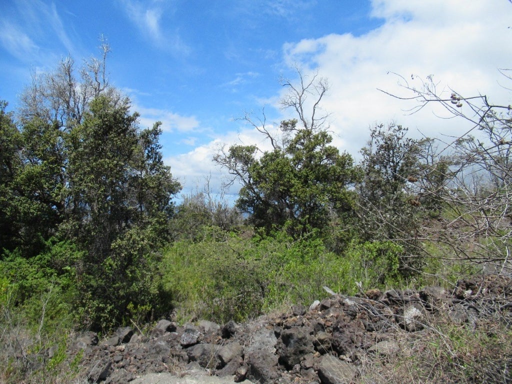 Kau Real Estate Big Island Hawaii