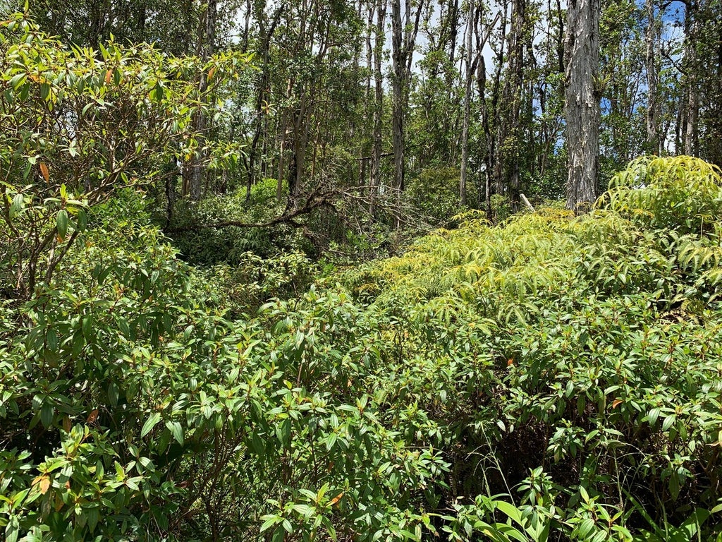 Tangerine Dr in AINALOA MLS® 700996 For Sale 40,000 in Puna, Hawaii