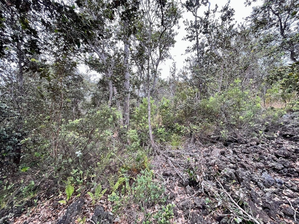 Kau Real Estate Big Island Hawaii