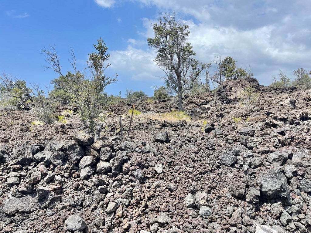 Kona South Estates in KONA SOUTH ESTATES MLS® 701907 For Sale 75,000