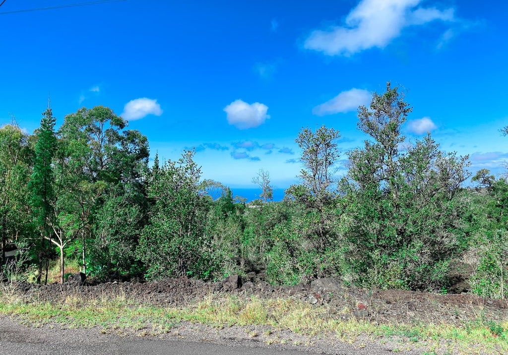 Leilani Circle Makai in HOVE MLS® 702046 For Sale 27,000 in Kau, Hawaii