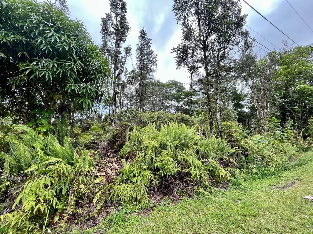 Kumu St in HAWAIIAN SHORES RECREATIONAL ESTATES MLS® 702075 For Sale