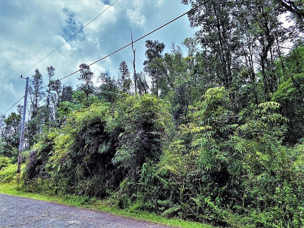 Lehua Rd in NANAWALE ESTATES SUBDIVISION MLS® 702349 For Sale 23,000