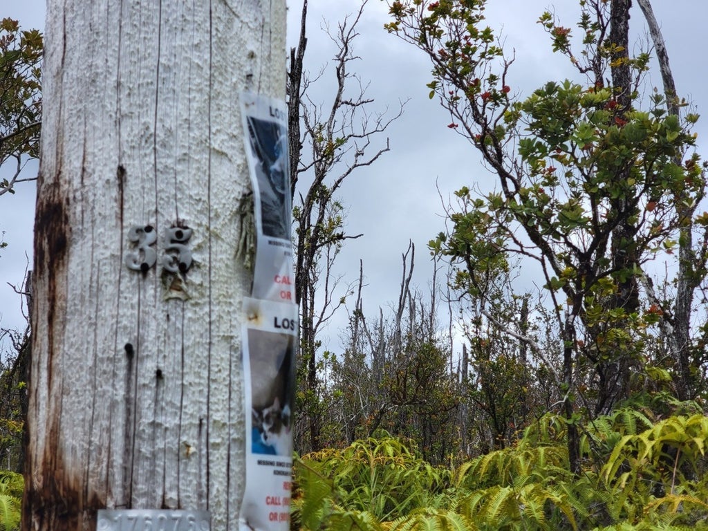 Ala Kapena in FERN FOREST VACATION ESTATES MLS® 702707 For Sale