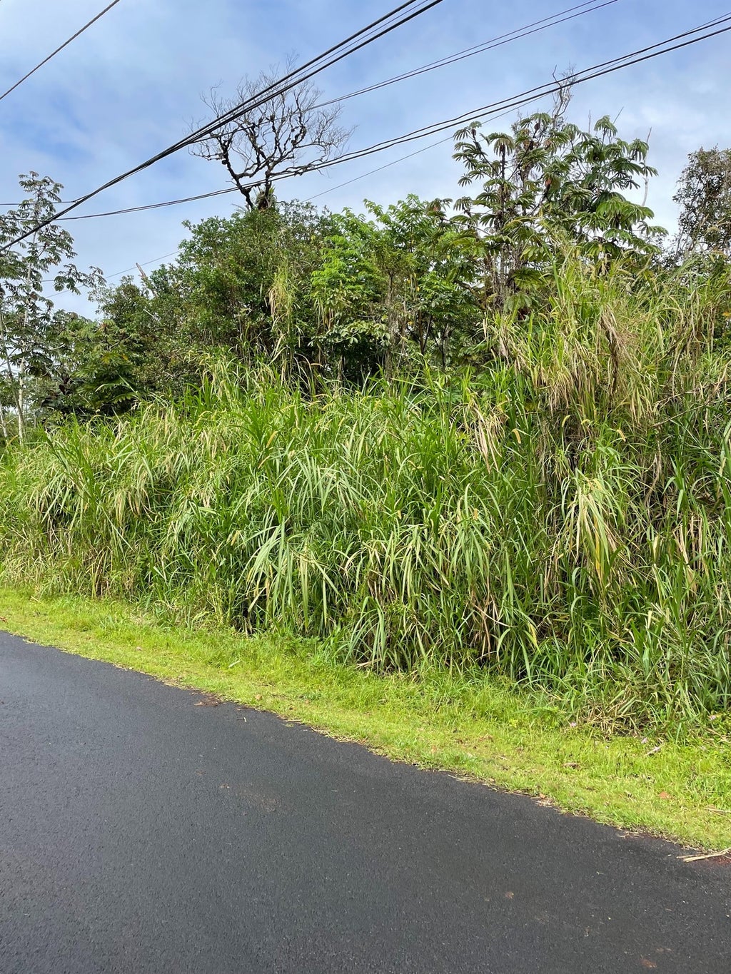 Alapai St in LEILANI ESTATES MLS® 702809 For Sale 35,000 in Puna, Hawaii
