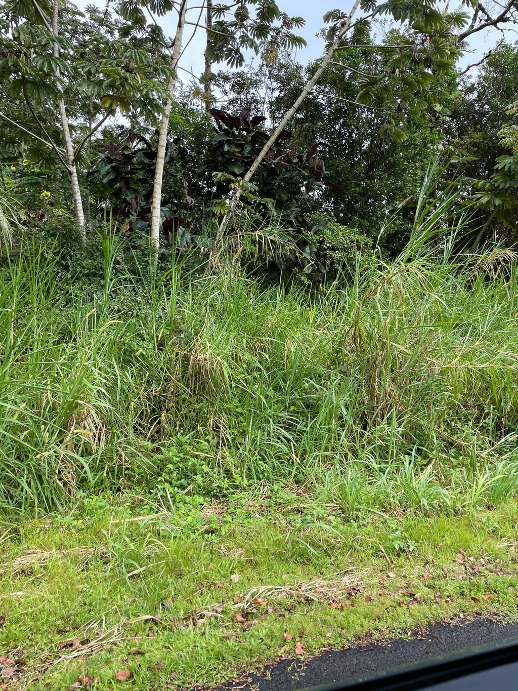 133563 Alapai St in LEILANI ESTATES MLS® 702810 For Sale 35,000 in