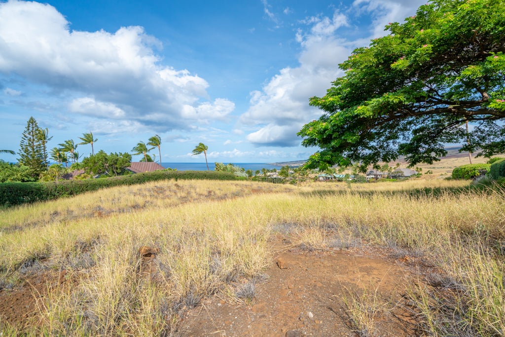 Mauna Kea Resort Mauna Kea Fairways North in MAUNA KEA RESORT MAUNA
