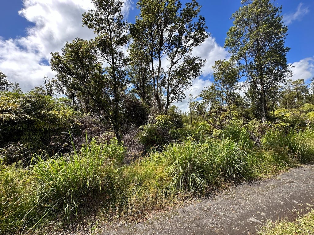 111806 Mikana St in HAWAII'S EDEN ROC ESTATES MLS® 703614 For Sale