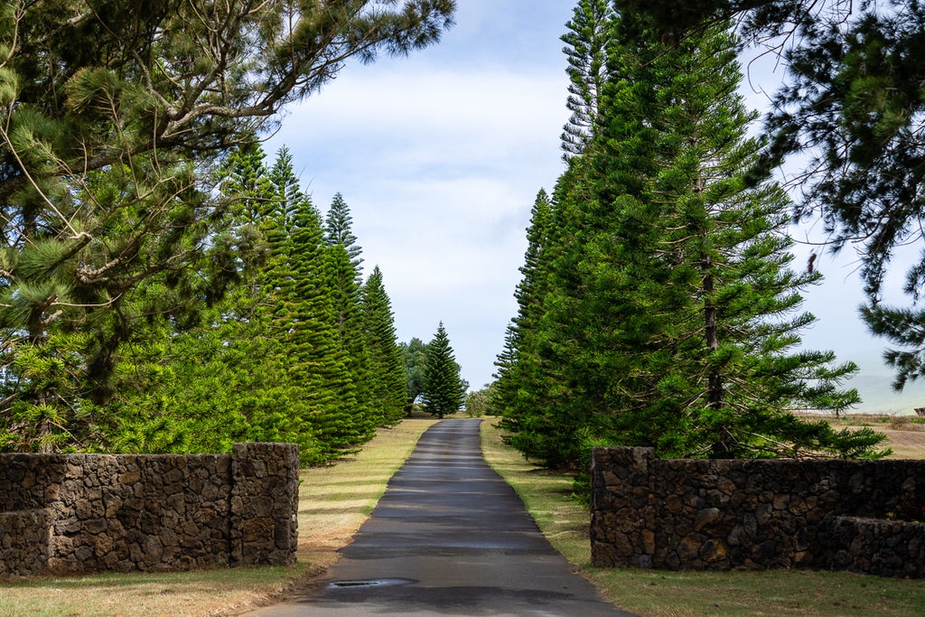 661434 Puu Huluhulu Rd in LALAMILO FARM LOTS MLS® 670423 For Sale