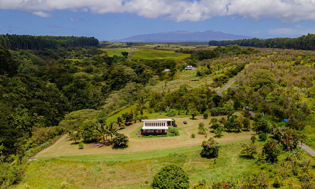 Hilo Real Estate Big Island Hawaii