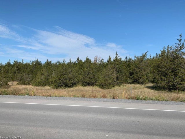 Photo of Listing #40265998