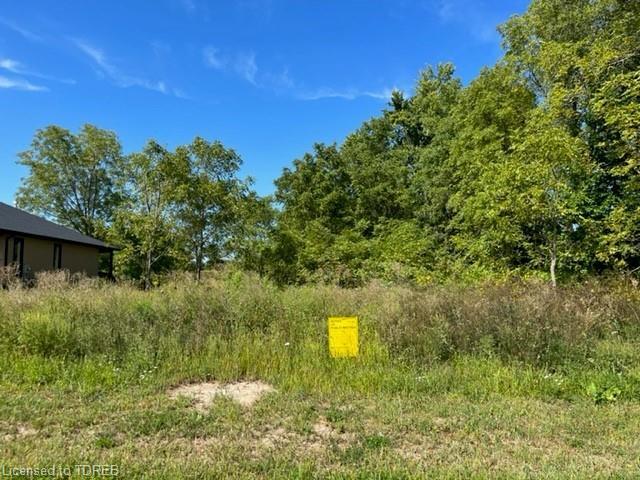 Photo of Listing #40319110