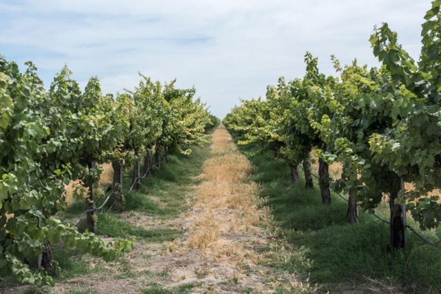 12487 Avenue 14, MADERA