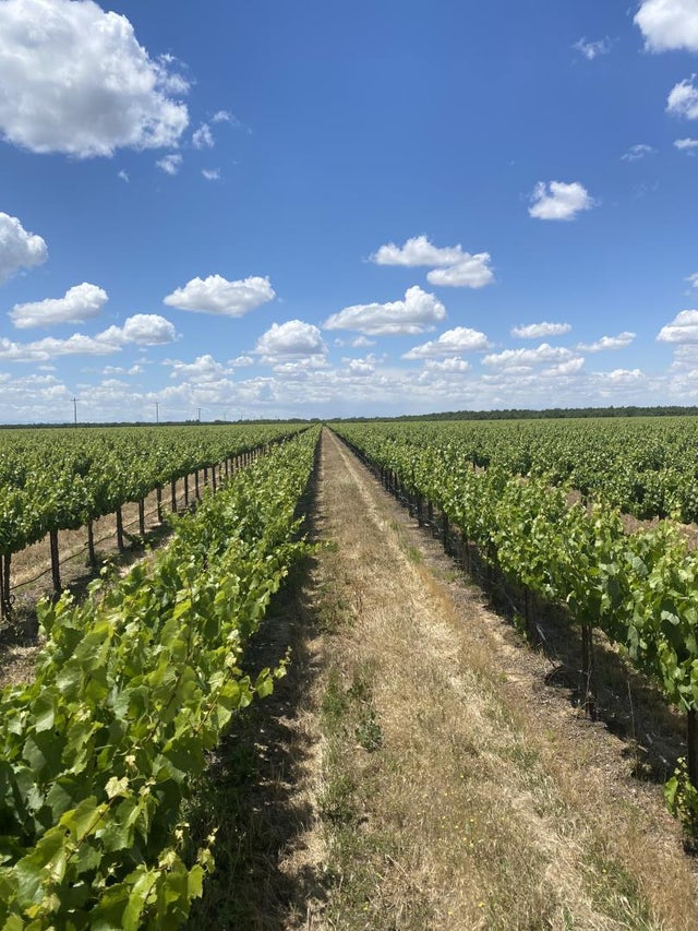 20650 Road 21, MADERA