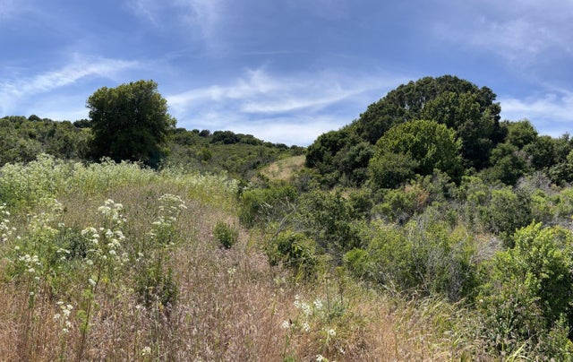 00 Knobcone Dr, RICHMOND