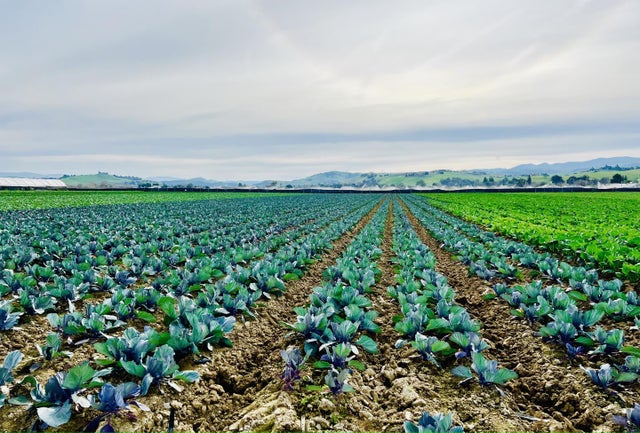 320 Riverside Rd, HOLLISTER