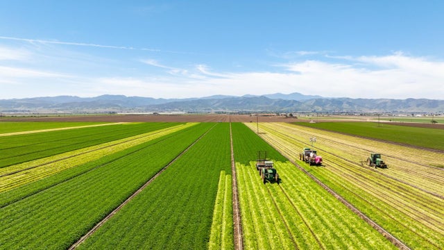 48453 Lonoak Rd, KING CITY