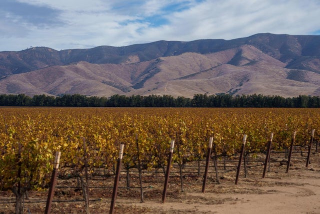 31102 Camphora Gloria Rd, SOLEDAD