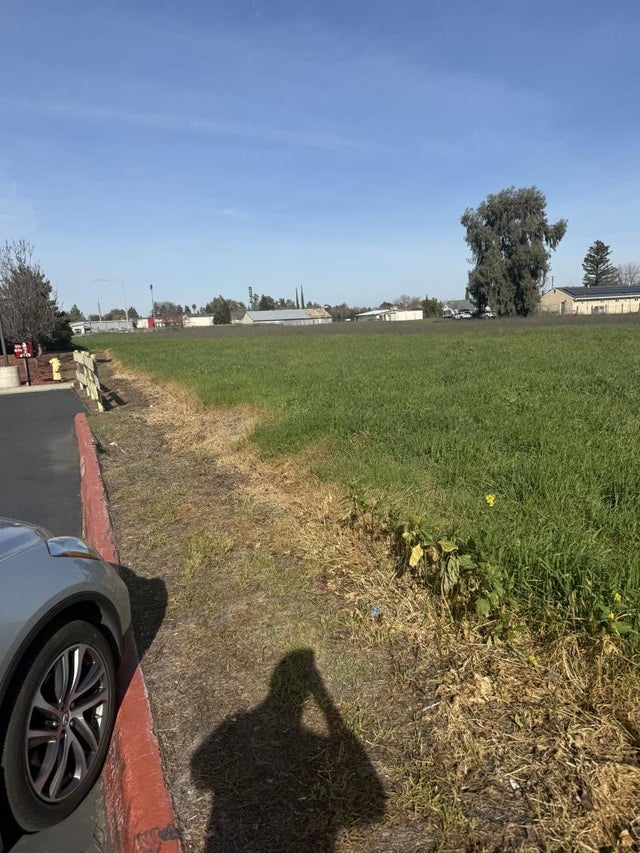 1240 West Wood, WILLOWS