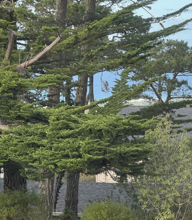 59 Skyline Crest Dr, MONTEREY