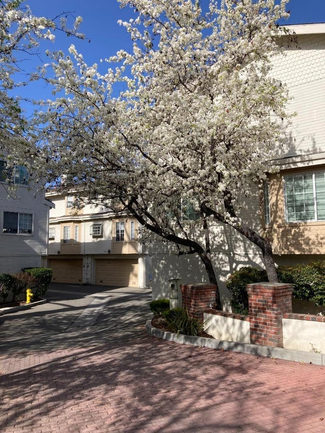 3673 S Bascom Ave, CAMPBELL