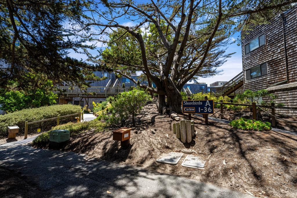 101 Shell Dr 3, Watsonville