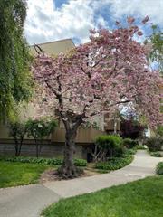 4415 Norwalk Dr 3, San Jose