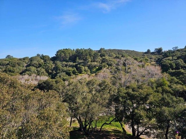 521 Quail Run Ct, DEL REY OAKS