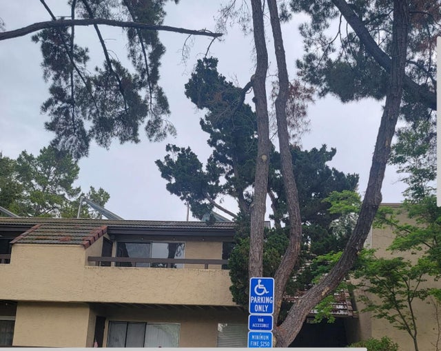 279 Tradewinds Dr 6, SAN JOSE