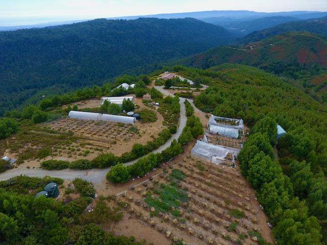 620 Maymens Flat Rd, LOS GATOS