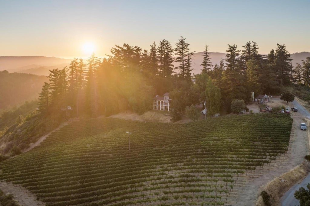 25200 Loma Prieta Ave, LOS GATOS