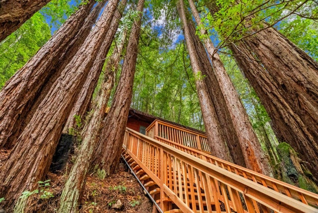 1741 Gold Gulch Rd, FELTON