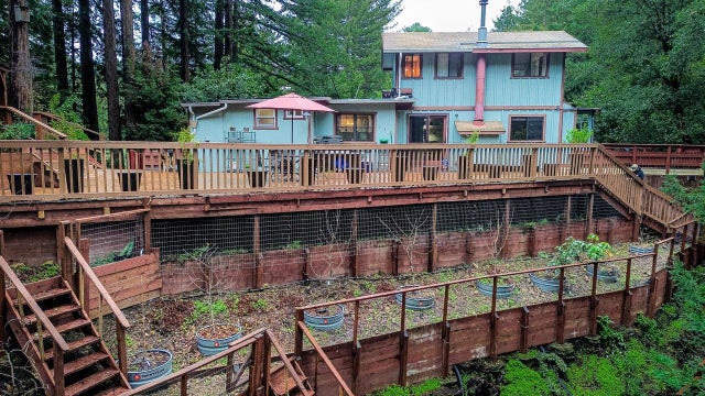 9913 Alba Rd, Ben Lomond