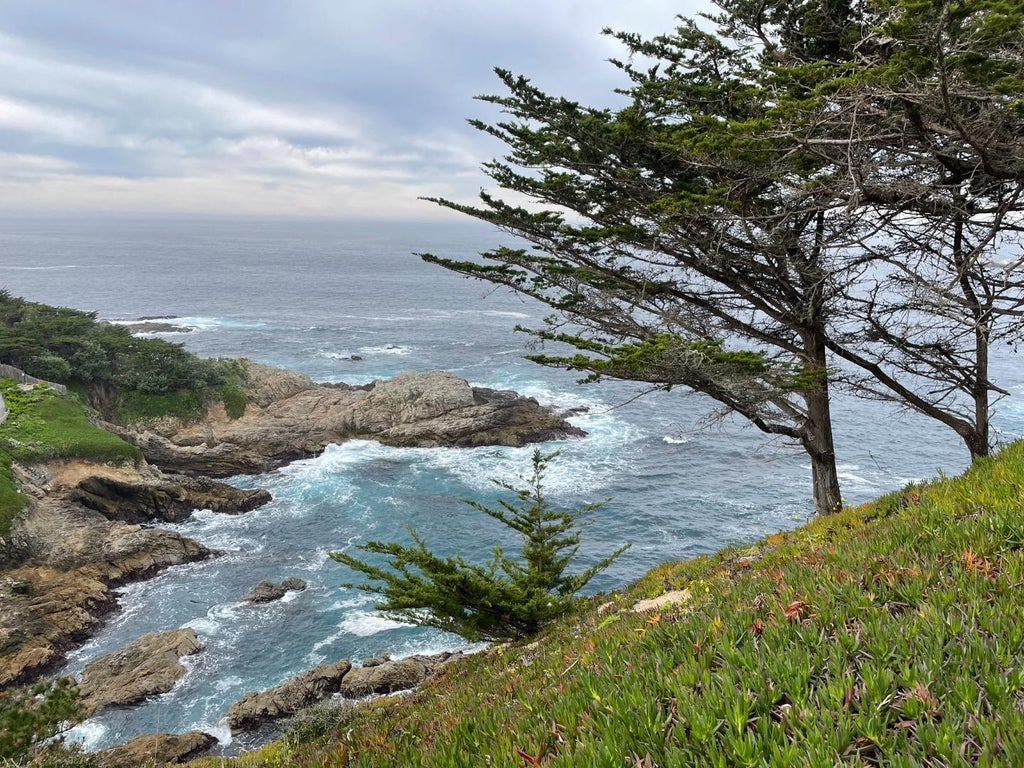 142 Carmel Riviera Dr, CARMEL