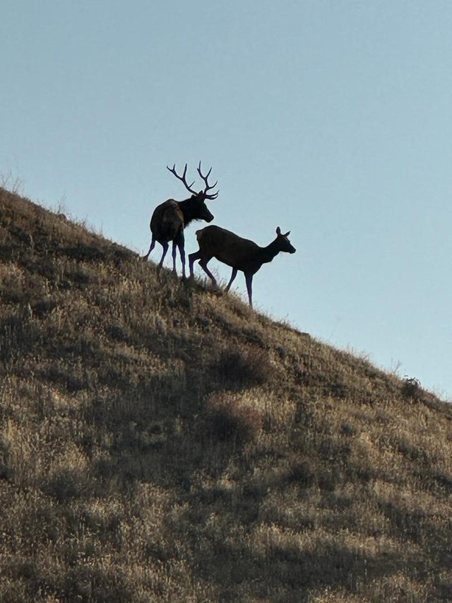 19825 New Idria Rd, PAICINES