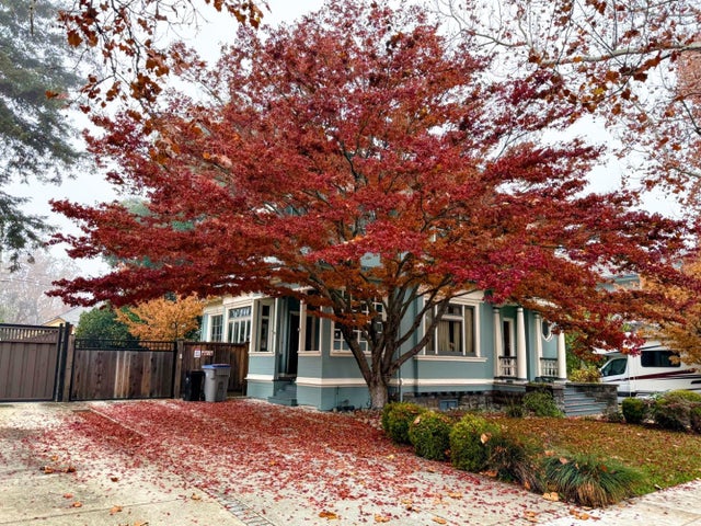 181 S 13th St, San Jose