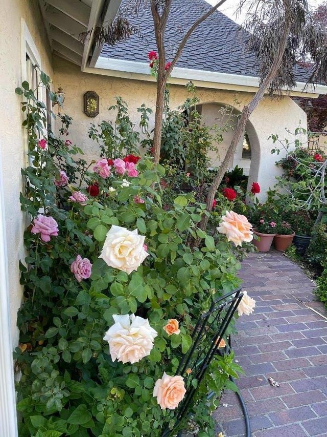 6270 Tweedholm Ct, SAN JOSE