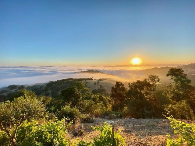 440 Hillside Rd, SAN JUAN BAUTISTA