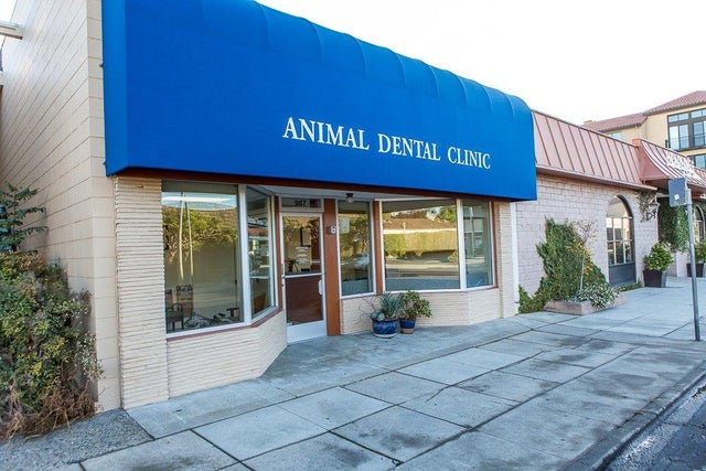 987 Laurel St, SAN CARLOS