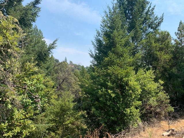 950 Middleton Dr, BOULDER CREEK