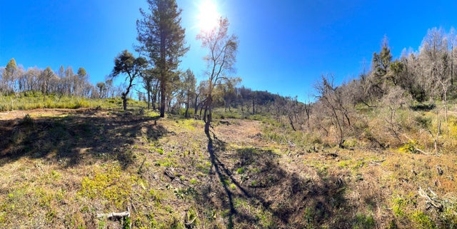 11035 Empire Grade, SANTA CRUZ