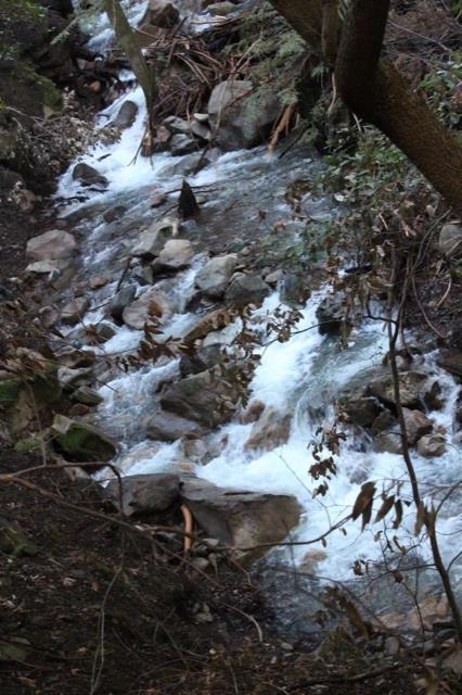 0 Llagas Rd, MORGAN HILL