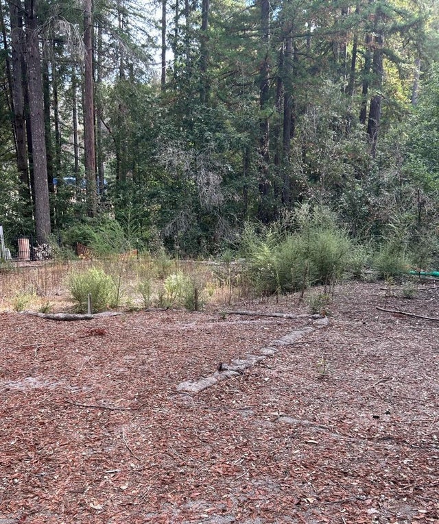 235 Double Bogey Dr, BOULDER CREEK