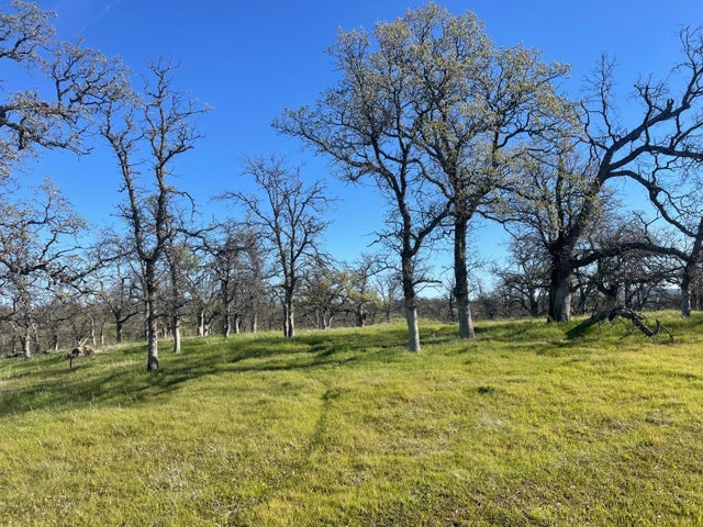 108 Lot 8 Of Tract No.91-1002 Ln, RED BLUFF